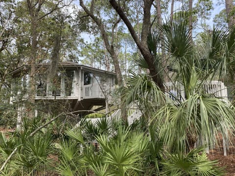 Deer Island is located on one of Sea Pines Forest Preserves!