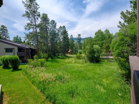 Summer Exterior View from Balcony