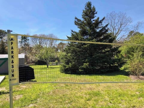 Badmitten or volleyball anyone?