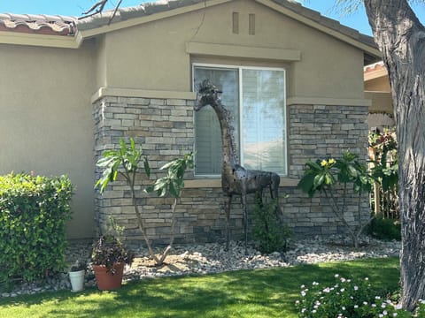 Giraffe and plumeria trees monitor the casita :) 