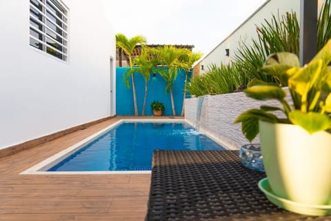 Private pool, with water jets and water fall 