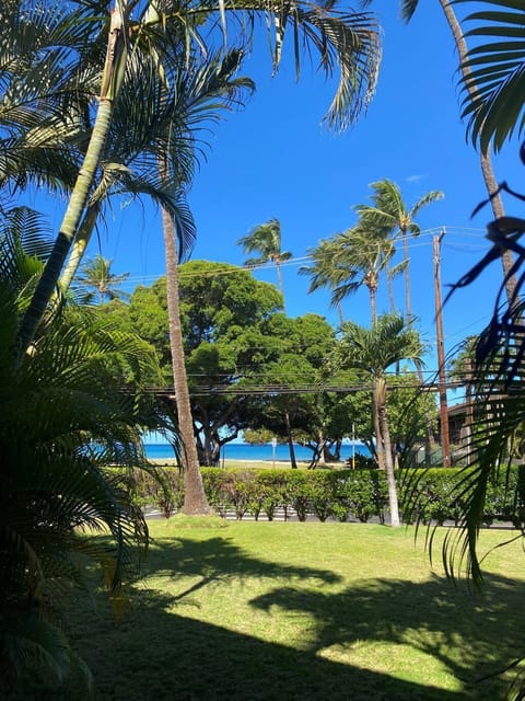 Ocean view from the lanai