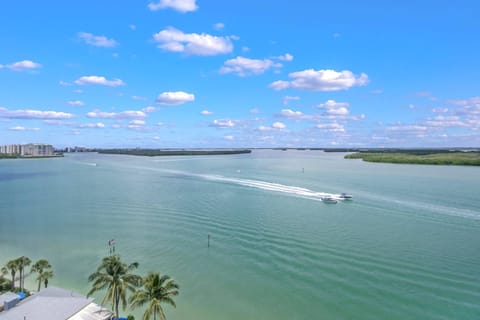 Enjoy dolphins playing in the Bay, sunsets over the Gulf and watching unending water activity from your 9th floor balcony.