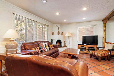 Living Room with Sleeper Sofa