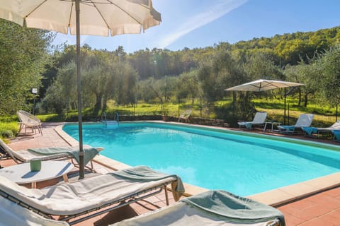 Private 6x12 m pool surrounded by olive trees