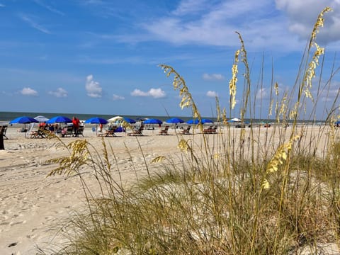 Sea oats. Sunshine. Salty air.  Hilton Head is calling!