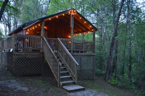 Welcome to the Hiwassee Cabin!