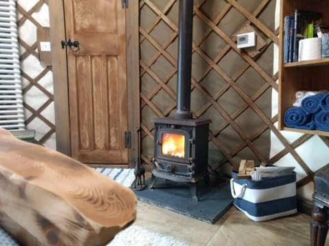 Cabin | Living room | Fireplace