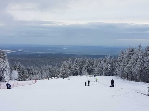 Snow and ski sports