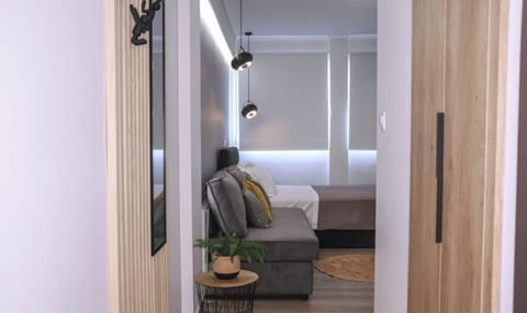 Studio, 1 Bedroom, Accessible, City View | 1 bedroom