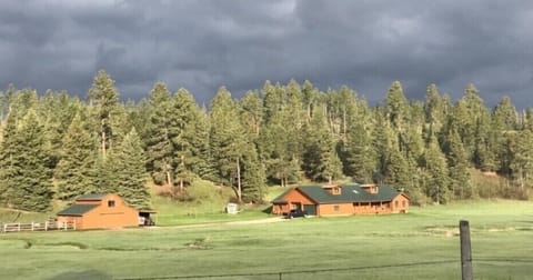 View while entering the property.