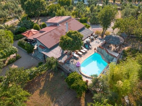 Plant, Tree, Building, Architecture, Vegetation, Urban Design, Swimming Pool, Leisure, House, Residential Area