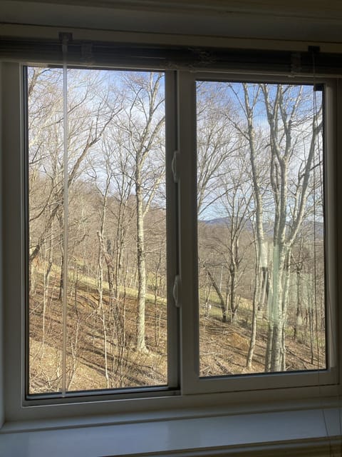 Slope and Morning Beech View