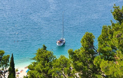 sea-view