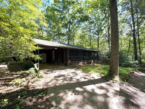 Exterior of the cabin and carport