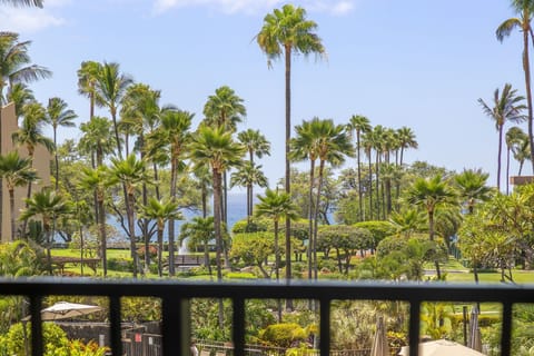 Soak in sweeping views of swaying palms and sparkling ocean from your private balcony, where tropical beauty meets serene relaxation.
