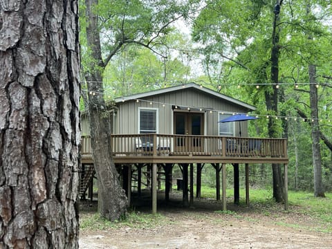 Getaway in this treehouse and hideout on this 1/2 acre gem!