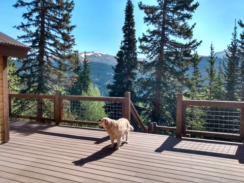 Furry family is welcome at the Alpine Haus property