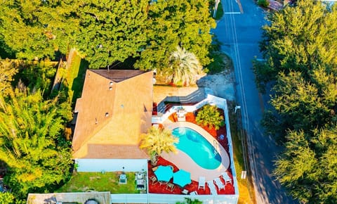 Aerial view of Art house. Private Pool, Fenced and in Front yard. Pool Heat Available