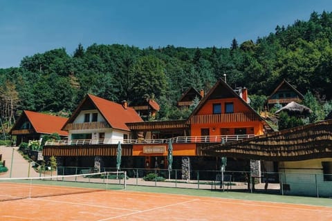 Sport court
