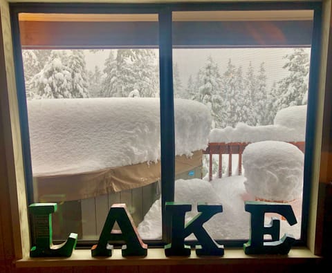 Enjoy big snow from the Living Room, complete with ironic décor!