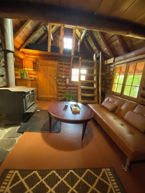 Wolverine Interior (2)