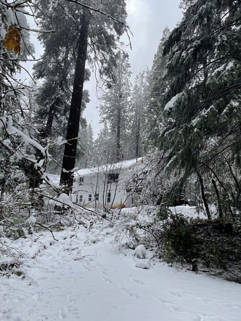 Winter enjoyment can be right outside. Ski areas and snow parks with in minutes.