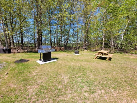 BBQ, firepit picnic area. shared space for both suites.