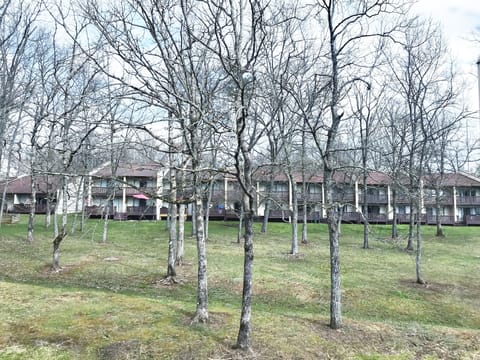 Courtyard view from back of condo