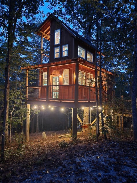 Night view of treehouse