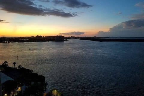 You'll be treated to glimpses of the beautiful painted skies during sunsets over the Gulf and bay.