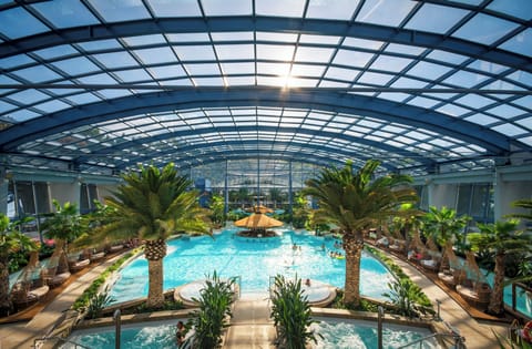 Indoor pool, sun loungers