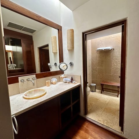 Habitación Mater Suite | Bathroom | Shower, rainfall showerhead, free toiletries, hair dryer
