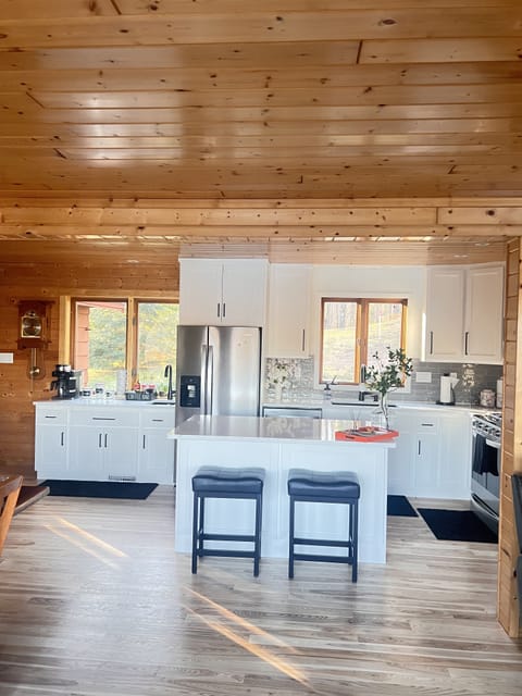 New kitchen cabinets and countertops/ appliances