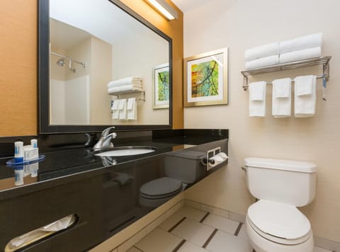 Combined shower/tub, free toiletries, hair dryer, towels