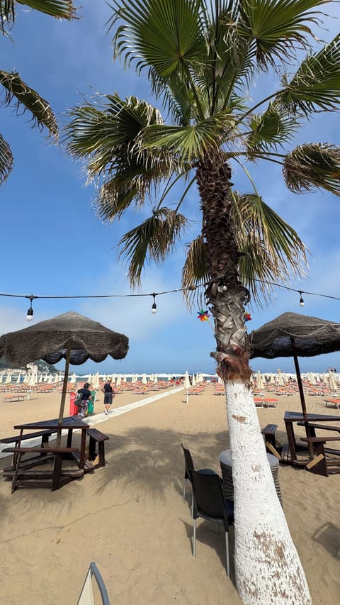 Beach bar