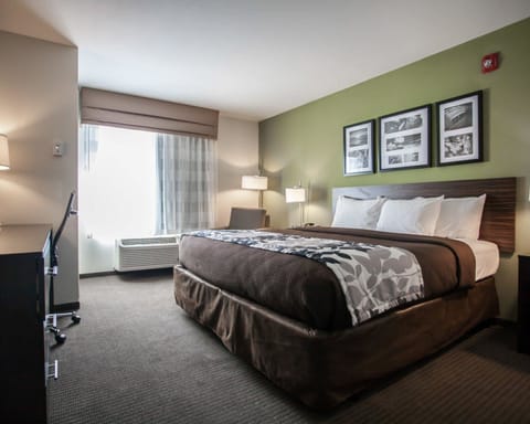 1 bedroom, premium bedding, down comforters, desk