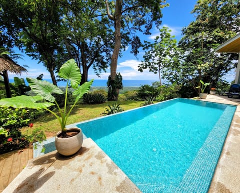 Infinity Pool with spectacular 180°views of the jungle and ocean