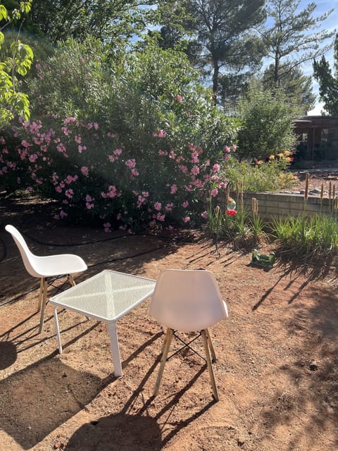 Watch the hummingbirds!