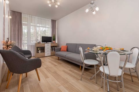 Living room with a comfortable sofa and TV. 
