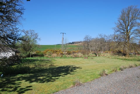 Another view of the garden