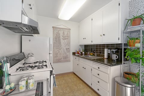 Fully stocked bright kitchen