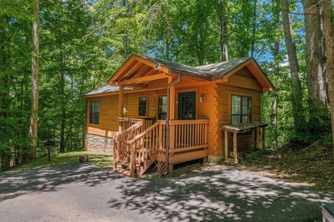 Charming cabin nestled in the Smoky Mountains, just minutes from it all