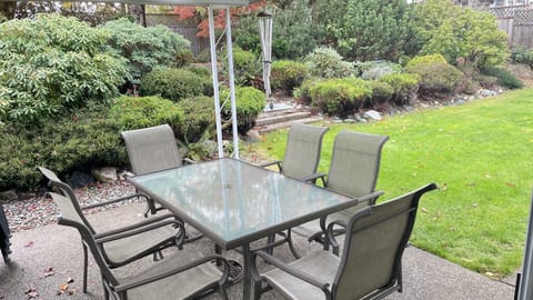 Outdoor patio off kitchen.