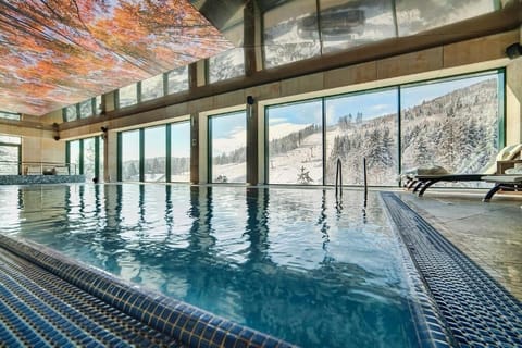 Indoor pool, sun loungers
