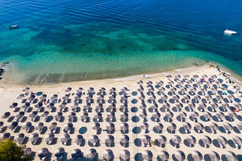 On the beach, scuba diving, beach bar