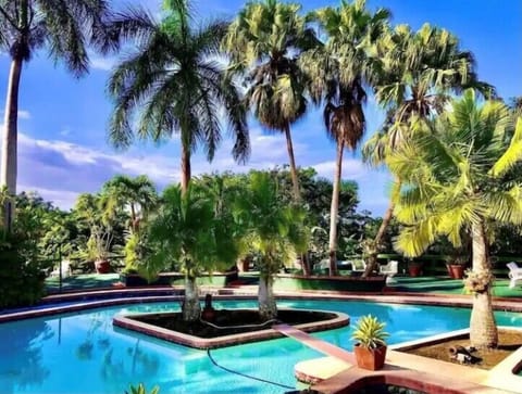 Outdoor pool, pool umbrellas, sun loungers