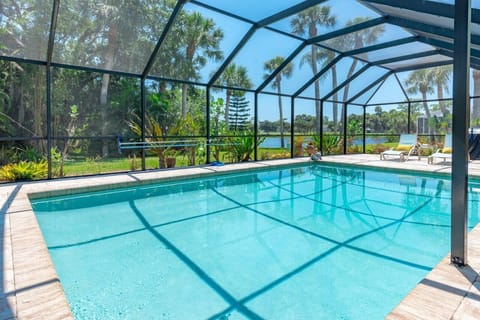 View from within pool enclosure. Magical!