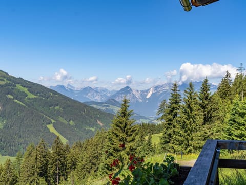 View from Holiday Home [summer]