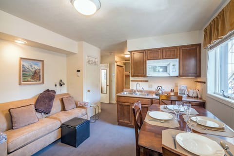 Living room features a queen sleeper sofa.